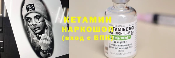 прущие грибы Новодвинск