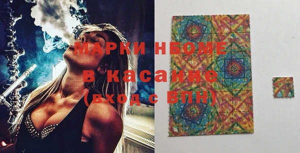 прущие грибы Новодвинск