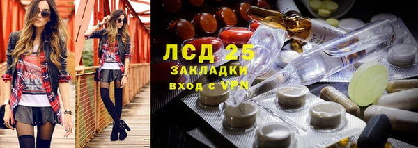 ПСИЛОЦИБИНОВЫЕ ГРИБЫ Алзамай