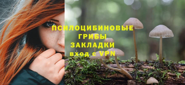ПСИЛОЦИБИНОВЫЕ ГРИБЫ Алзамай
