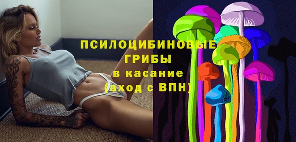 ГАЛЛЮЦИНОГЕННЫЕ ГРИБЫ Новокубанск