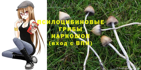дмт Алексеевка