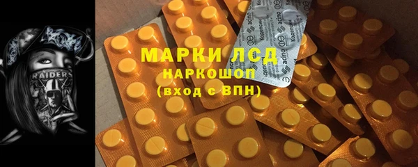 ГАЛЛЮЦИНОГЕННЫЕ ГРИБЫ Алексин