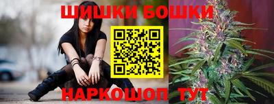 сатива Можга