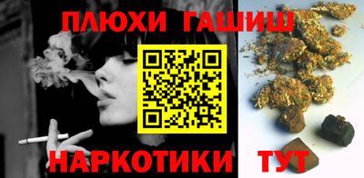 сатива Можга