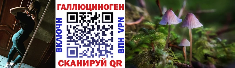 Галлюциногенные грибы Magic Shrooms  где купить наркоту  Санкт-Петербург 