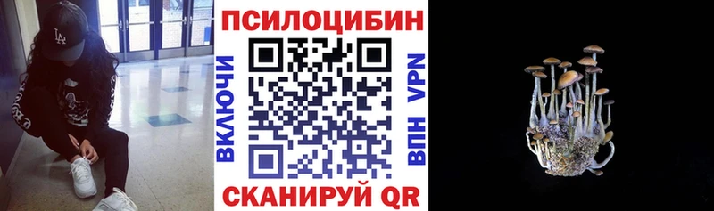Псилоцибиновые грибы MAGIC MUSHROOMS Санкт-Петербург